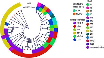 Predominance of Non-carbapenemase Producing Carbapenem-Resistant Enterobacterales in South Texas